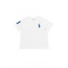 Biały t-shirt z szafirowym konikiem, Polo Ralph Lauren