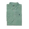 Elegancka koszula chlopieca w zielone paski, Polo Ralph Lauren